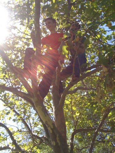 alexraupach's profile picture. listening // playing // reading // writing