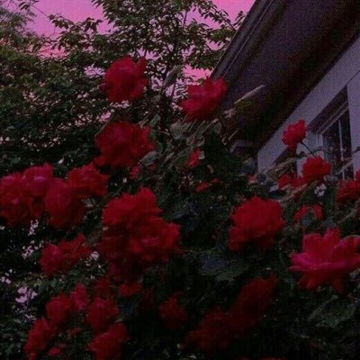 moonbxtch's profile picture. 