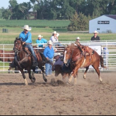 SawyerStrand's profile picture. 