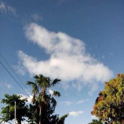 ingusgon's profile picture. Its ok