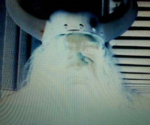 Philabuster1's profile picture. Audio Engineer