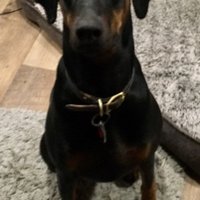 Barjb (@barjb2) 's Twitter Profile