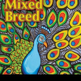 MixedBreedMusic's profile picture. Mixed Breed is a rock trio.