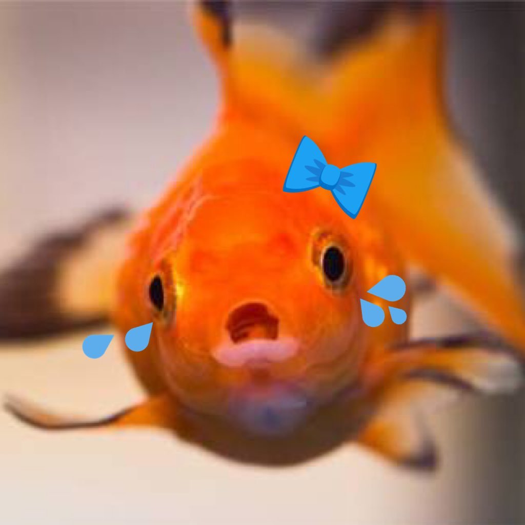 たﾟさんのプロフィール画像
