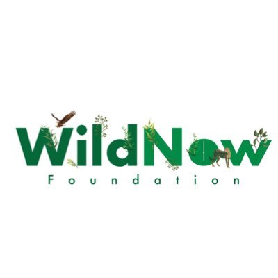 WildnowF's profile picture. A youth organization that affords the youth opportunities to participate in conservation and impact the future of our country’s natural resources 🇰🇪