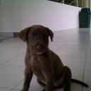 Eileen Ong - @eileenslong - Twitter