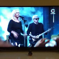 blondie fan club (@chris07023184) 's Twitter Profile