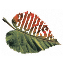 BioRisk_Journal's profile picture. 