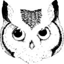 Marcia Bird - @busyowls - Twitter