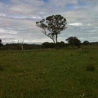 Tim Lester (@timrlester) 's Twitter Profile