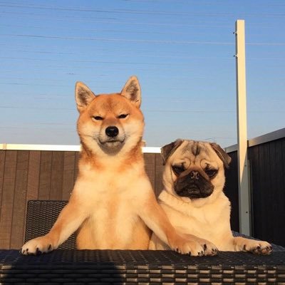 kuffyxm8's profile picture. 