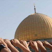كل فؤاد لا يتوق إلى القدس باطل الأهواء وإني أحبكِ (@snapsmail) 's Twitter Profile