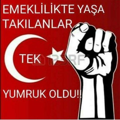 celallale's profile picture. 