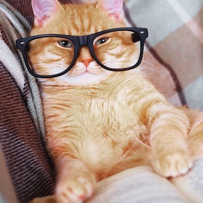 educator_ale's profile picture. 