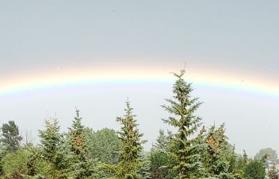 funalways1's profile picture. 