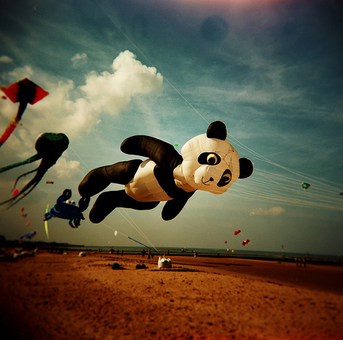 VoicingPeace's profile picture. Stop hate, start peace.