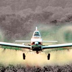 glifosatoya1's profile picture. 