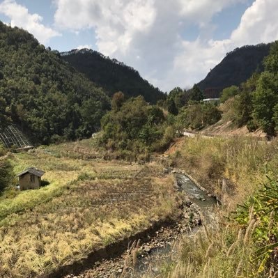 MatthewLau1998's profile picture. 