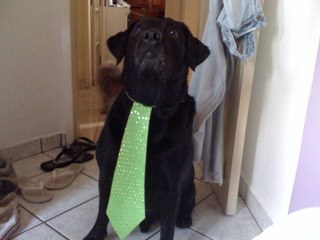 koitikw's profile picture. 