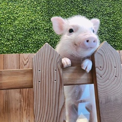 metear18's profile picture. ドラクエ10プレイしています！復帰勢でレベル追いついてないですし、装備も弱いですけど精一杯楽しんでプレイしています！お金貯めて良い装備かうぞぉ〜！✨