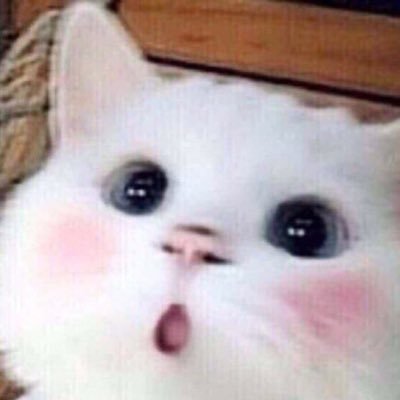 แ อ ม ห มี ver.ปิก้า ปิ้กะ ผกา พีเคเอ ▽ • ｗ • ▽さんのプロフィール画像