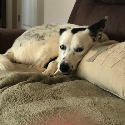 acundiff214's profile picture. 