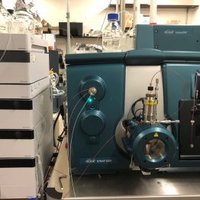 Ruth Welti (@ruthwelti) 's Twitter Profile