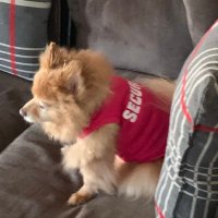 BryanPikus (@bryanpikus) 's Twitter Profile