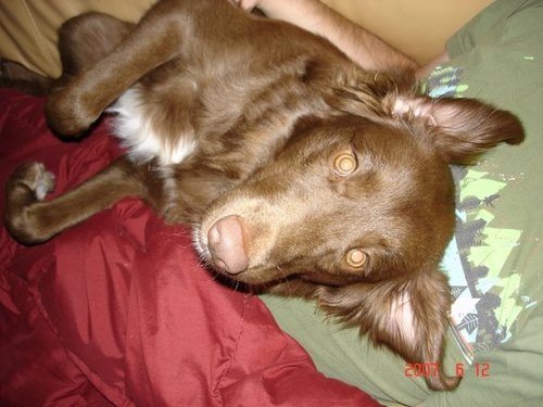 SmartieMarnie's profile picture. Have a busy life and need fast deals to save up for the big things-new car, vacay, etc. Two girls, great man and Berry the dog! We Love saving money!