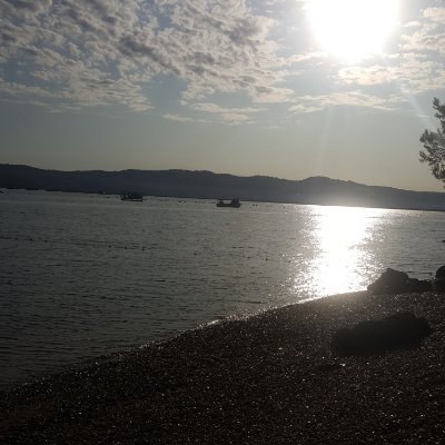 tnelisilent's profile picture. 