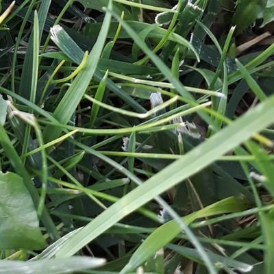 maximami1234567's profile picture. 