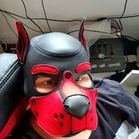 Pup_Nero (@puppy_nero) 's Twitter Profile