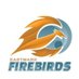 Eastmark HS Firebirds Football (@eastmark_fb) Twitter profile photo Eastmark HS Firebirds Football (@eastmark_fb) Twitter profile photo
