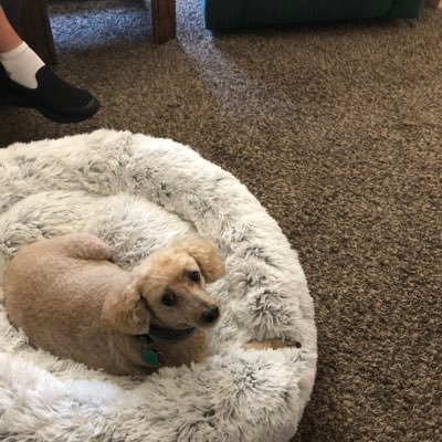 LindaGr63579632's profile picture. 