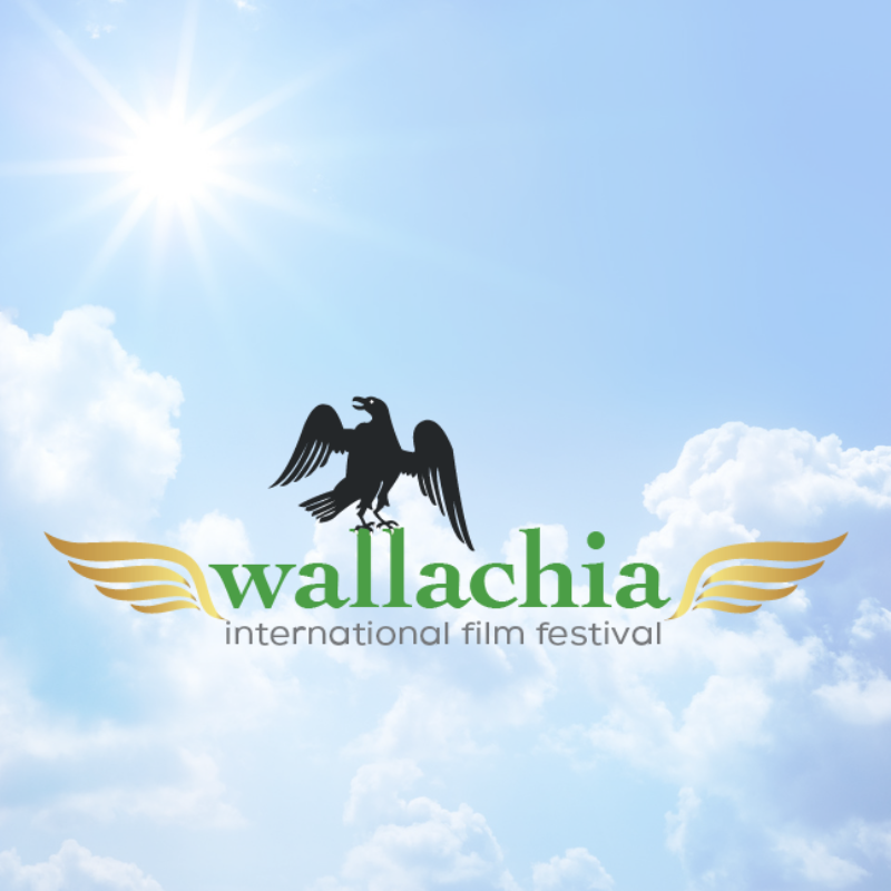 WallachiaIFF Profile Picture