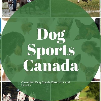 DogSportsCanada's profile picture. A Canadian dog sports directory site to help you easily find out the information that you need to be able to enjoy dog sports to the fullest.