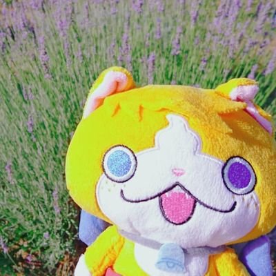 みみあさんのプロフィール画像