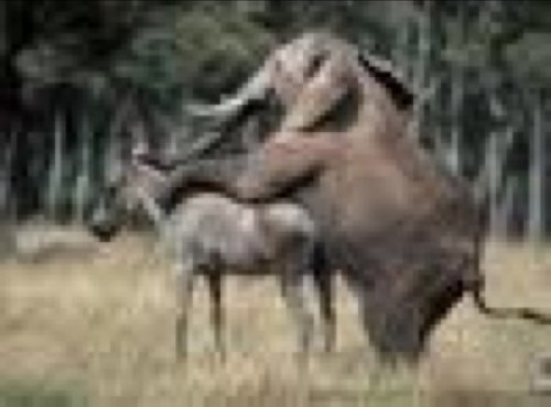 tommyjardon's profile picture. 