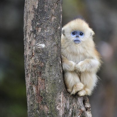 dzanur7's profile picture. Z movies Hero