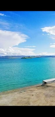 andy89659266's profile picture. 勤能补绌