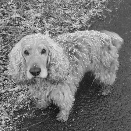 crazyjessy_'s profile picture. 