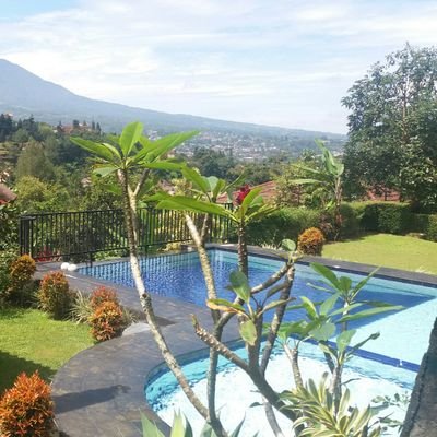 SARANA PENGINAPAN PUNCAK.
Call / Whatsapp : 0878-7045-4640
E-Mail : wandawirasatria@gmail.com