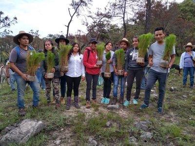 sumando esfuerzos para preservar, conservar el medio ambiente  y cuidado de la flora y fauna de oaxaca.