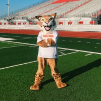 Bobcat Bennie (@bobcatbennie) 's Twitter Profile