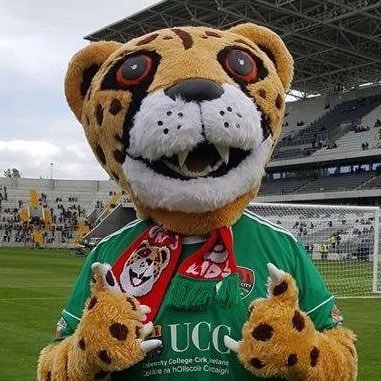 @CorkCityFC's mascot and biggest fan. The one and only, truly original, cheetah from @Turners_Cross. #CCFC84