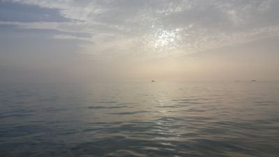 galax_n's profile picture. واني وان كنت الأخير زمانه ... لآت بما لم تأت به الأوائل