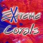 ExtremeCorals's profile picture. 