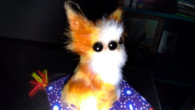 nasaindi42's profile picture. Olhos pequenos, mas visão além do alcance.