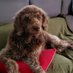 PipsterDoodle (@baldwintamara) Twitter profile photo PipsterDoodle (@baldwintamara) Twitter profile photo