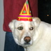 Cosmo_B-Day_Hat_bigger.jpg